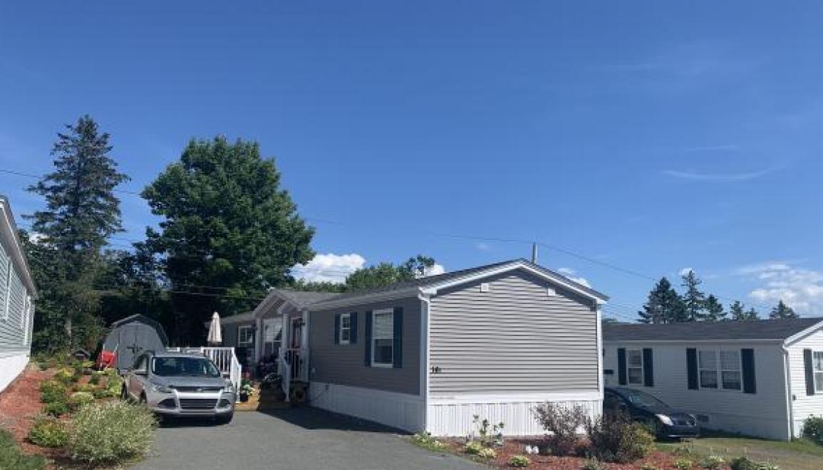 Shamrock Acres killam